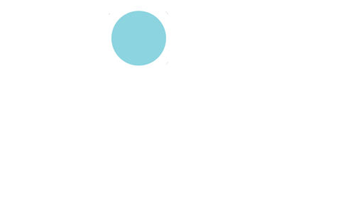 DigiPraise Logo